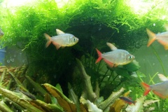 2012-06-26_18-07-58_989
