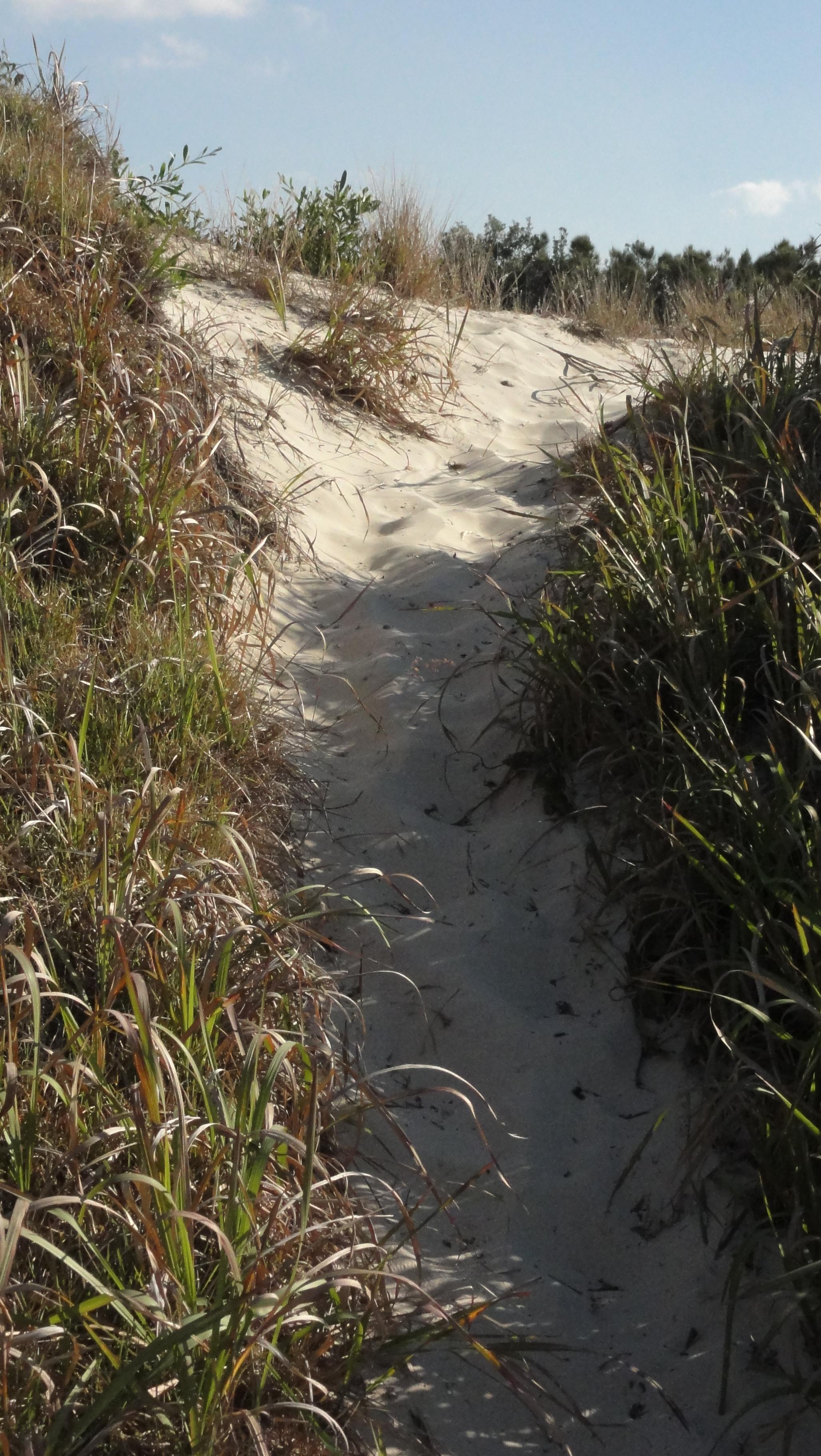 Sand_Dune_Path