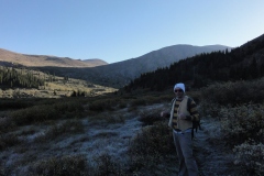 Survived_the_first_wave_of_willows